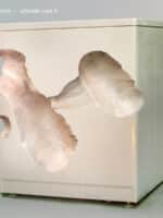 album art Matmos Ultimate Care II