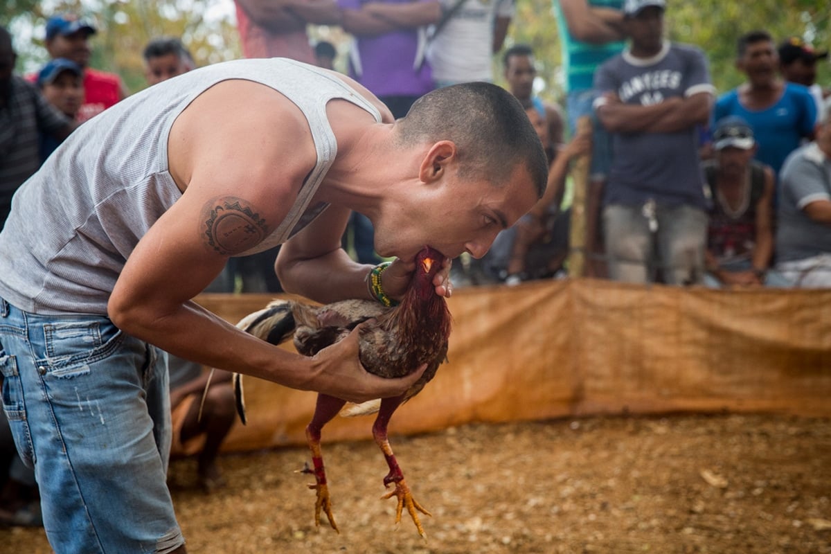 Young_Cuba_Photographer_Cheney_Orr-11