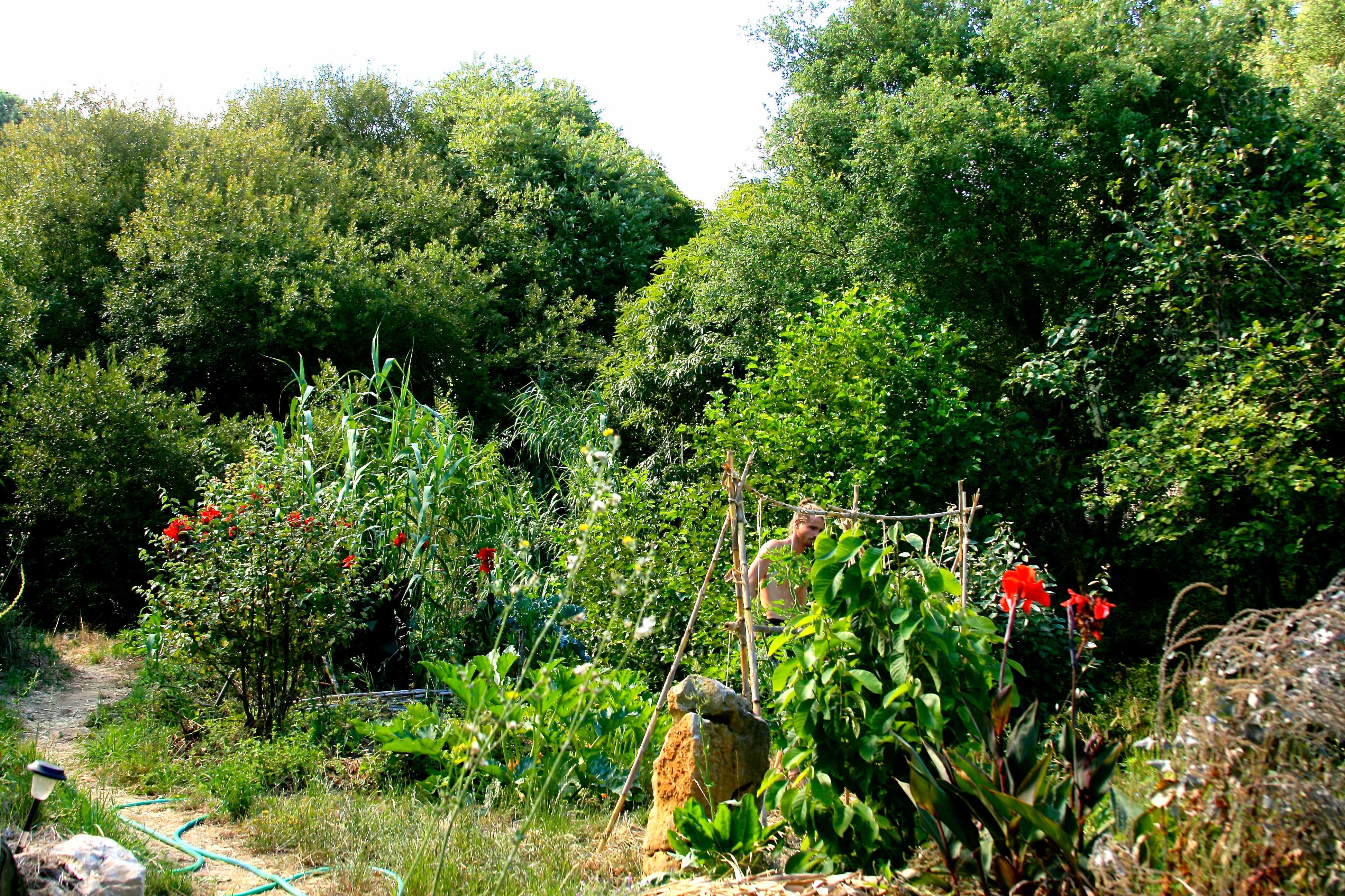 Off Grid Living Permaculture in Portugal 