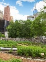 NYC-Urban-Farm