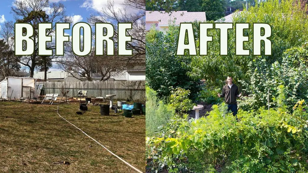 before-after-permaculture