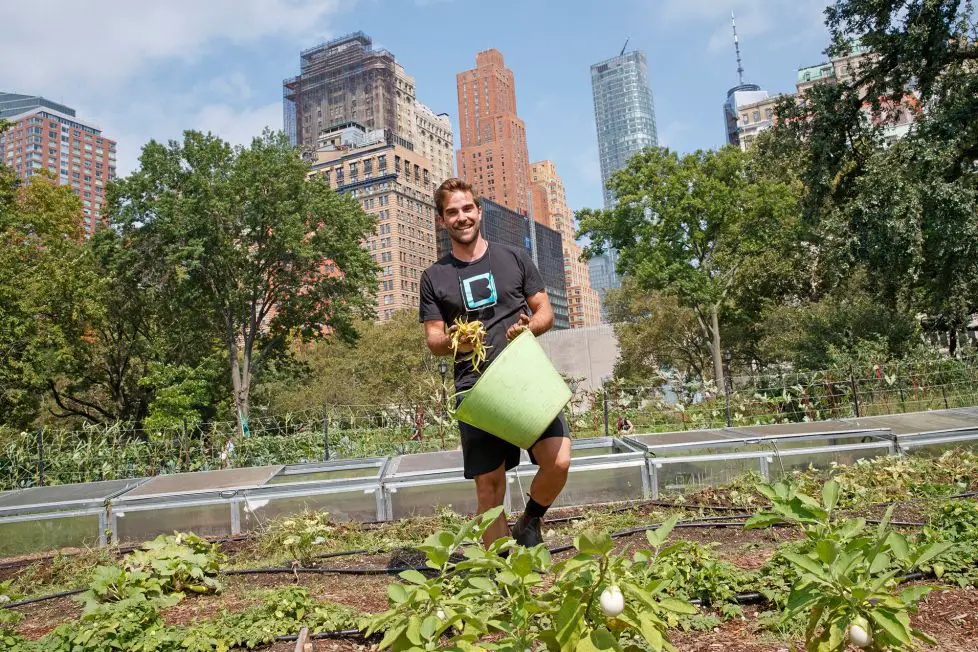 Permaculture in the city - NYC Urban Farms